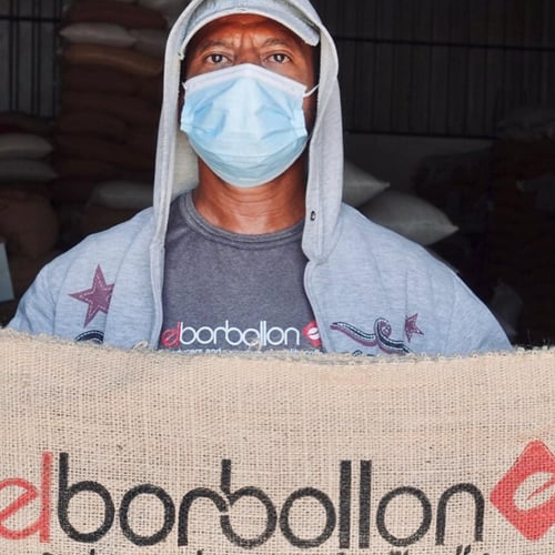 El Salvador / El Borbollon / Washed