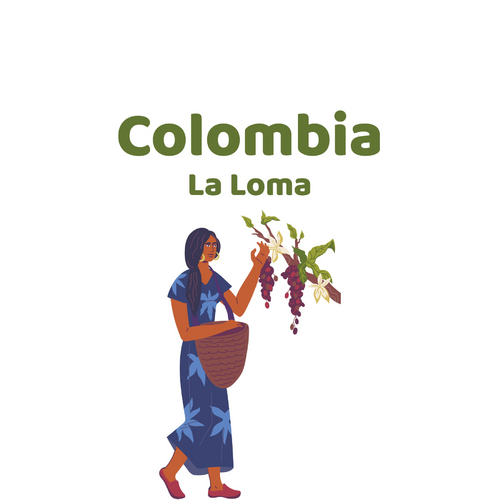 Colombia La Loma Cm Washed