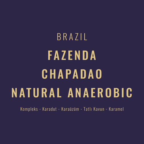 Brazil – Fazenda Chapadao Natural Anaerobic Topazio