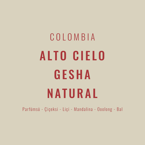 Colombia – Alto Cielo Gesha Natural