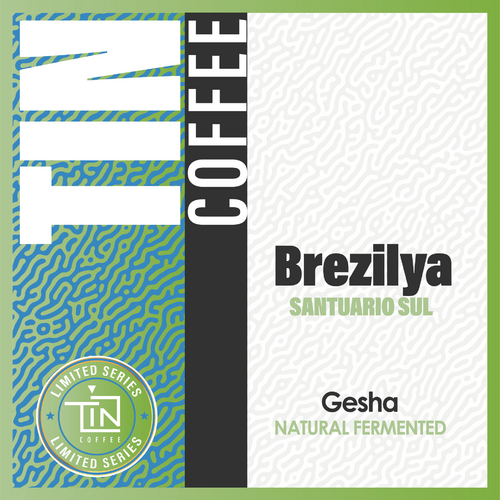 Brezi̇lya – Santuario Sul – Gesha Natural Fermented