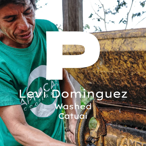 Peru Levi Dominguez
