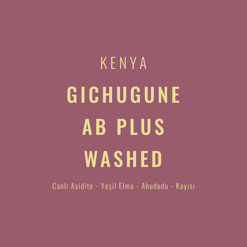 Kenya – Gichugune Ab Plus Washed