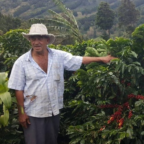 Costa Rica / Los Robles / Natural Reposado