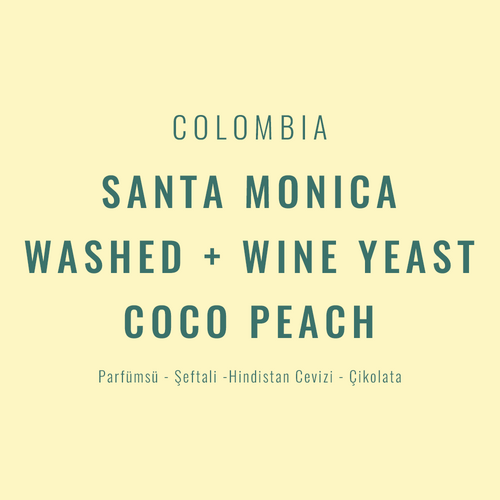 Colombia – Santa Monica Washed + Wine Yeast / Coco Peach