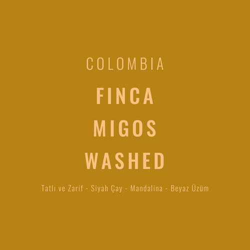 Colombia – Fincamigos Washed