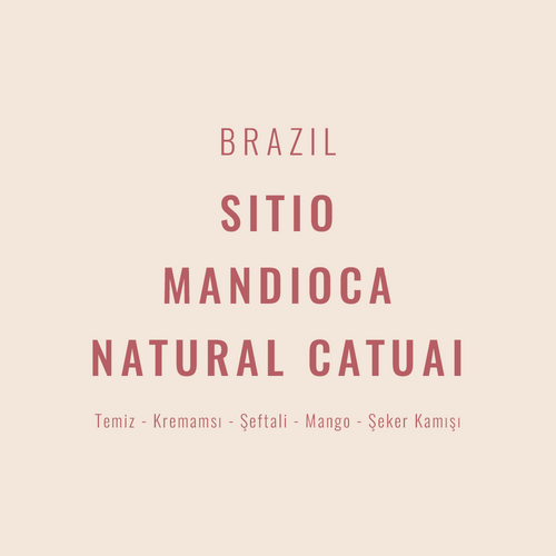 Brazil – Sitio Mandioca Natural Catuai