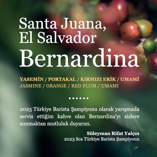 El Salvador Bernardina – 2023 Sca Turkey Barista Champion