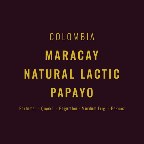 Colombia – Maracay Natural Lactic Papayo