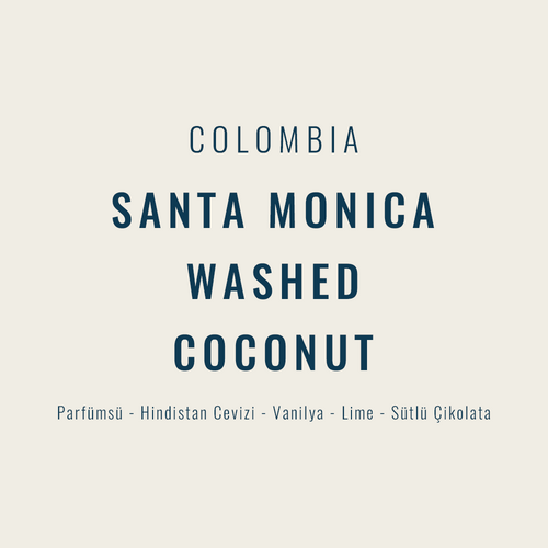 Colombia – Santa Monica Washed + Coconut