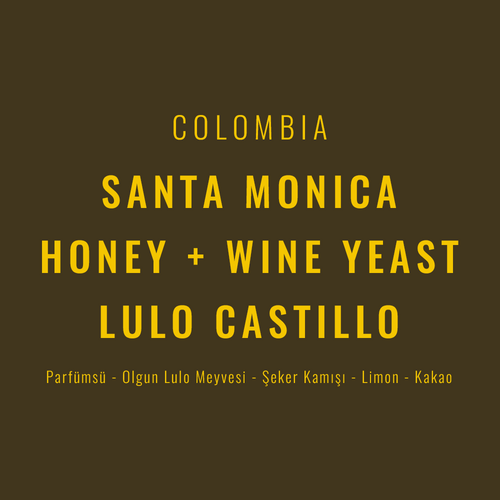 Colombia – Santa Monica Honey + Wine Yeast / Lulo