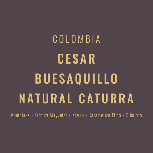 Colombia – Cesar Buesaquillo Natural Caturra