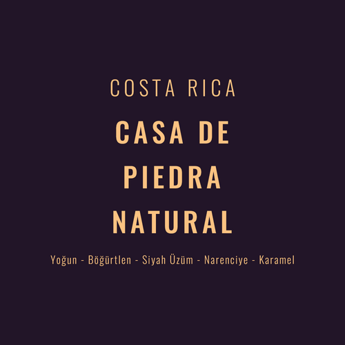 Costa Rica – Casa De Piedra Natural