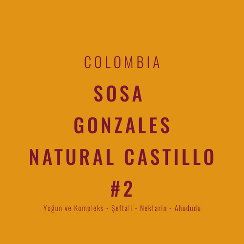 Colombia – Sosa Gonzales Natural Castillo #2