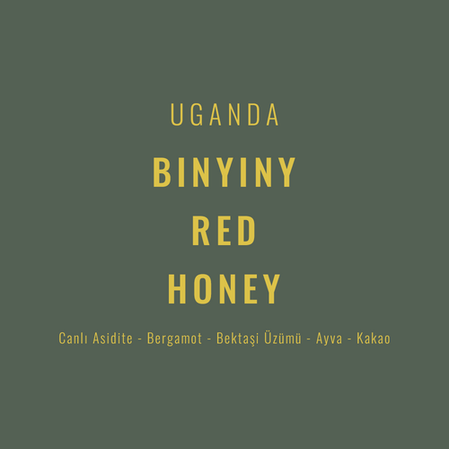 Uganda – Binyiny Red Honey