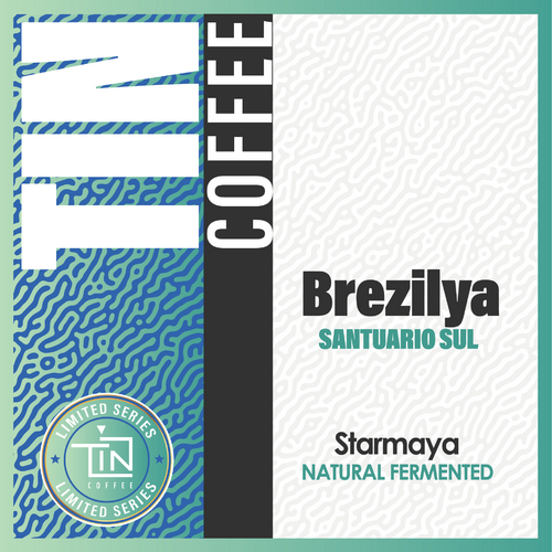 Brezi̇lya – Santuario Sul – Starmaya Natural Fermented