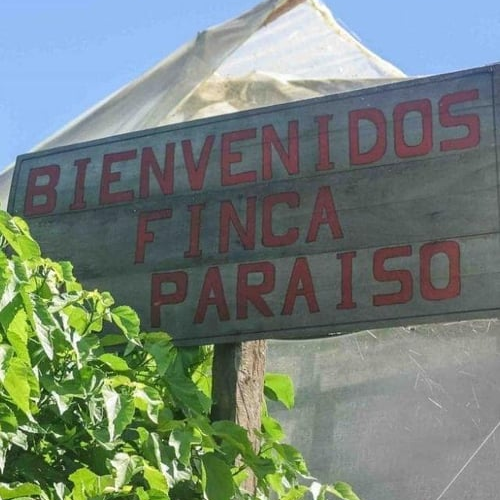 Colombia / El Paraiso / Natural