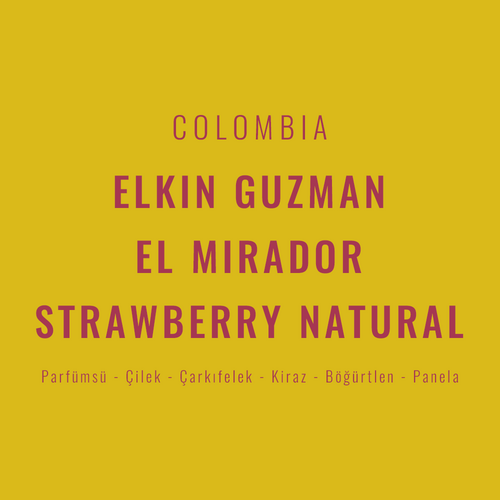 Colombia – Elkin Guzman Strawberry Natural