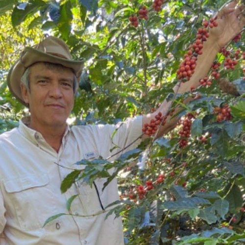 El Salvador / Finca El Gobiado / Anaerobic Natural