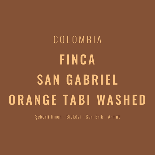 Colombia – Finca San Gabriel Orange Tabi Washed