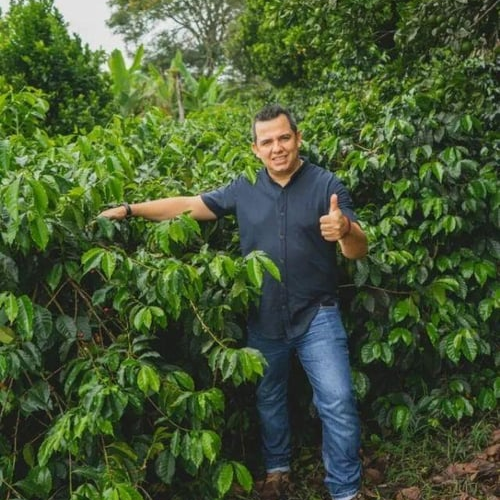 Colombia / El Mirador / Yellow Fruits Nectar