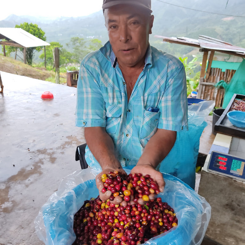 Alonso Bustos - Finca El Mirador - Tabi - Natural - Colombia - Espresso - 2023