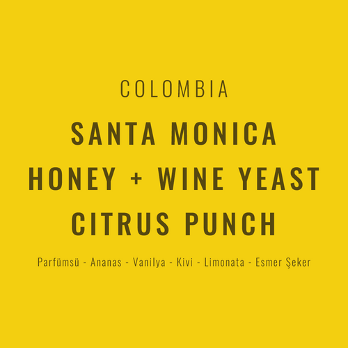 Colombia – Santa Monica Honey + Wine Yeast / Citrus Punch