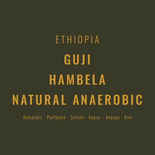 Ethiopia – Guji Hambela Natural Anaerobic Heirloom