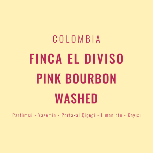 Colombia – Finca El Diviso Pink Bourbon Washed