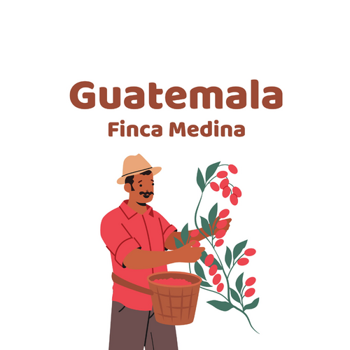 Guatemala Finca Medina