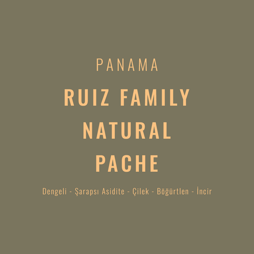 Panama – Ruiz Family Natural Pache