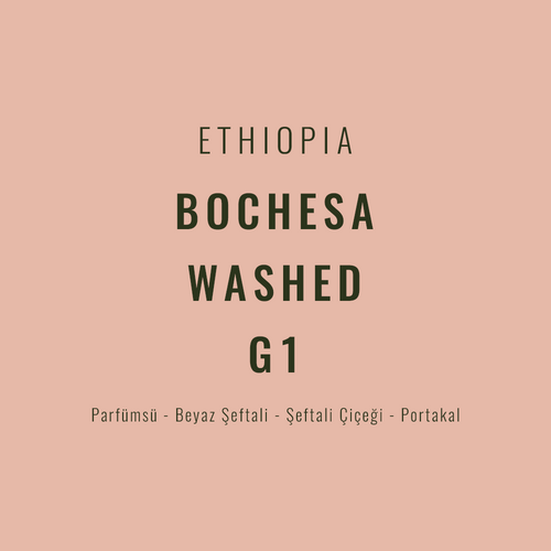 Ethiopia – Bochesa Washed G1