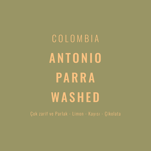 Colombia – Antonio Parra Caturra Washed