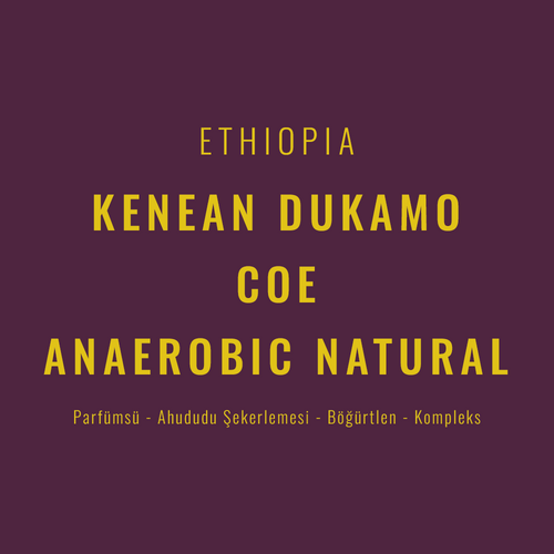 Ethiopia – Kenean Dukamo Coe Natural Anaerobic